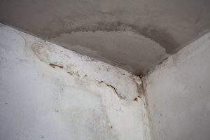 Damp Treatment Process