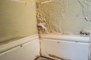 Rising Damp London