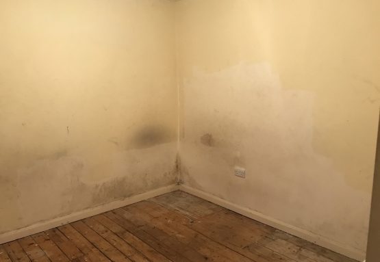 Rising Damp in a corner