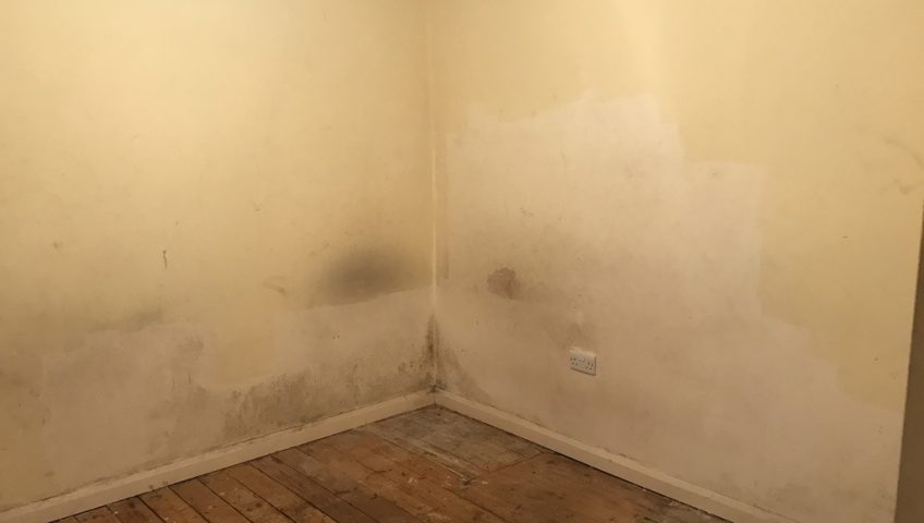 Rising Damp in a corner