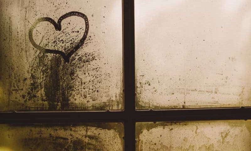 condensation on a window