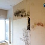 Damp and Mould Problems London