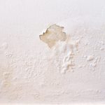 How much is damp treatment