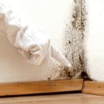 Identify Rising Damp Problems London