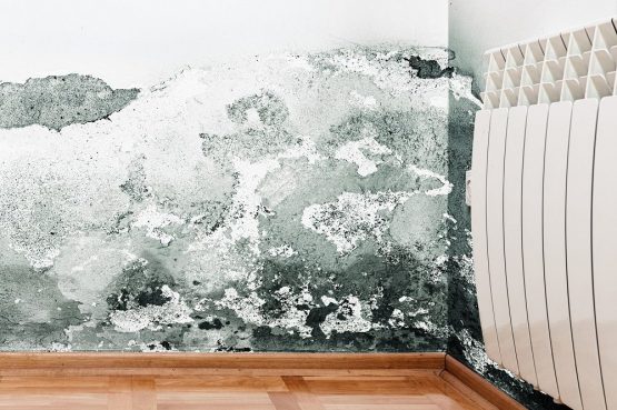 London Rising Damp Treatment Options