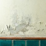 Treatment for Damp London