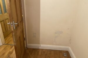 London Rising Damp Treatment Options