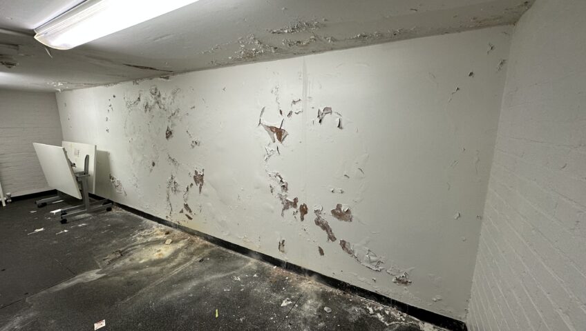 Choosing the right basement damp proofing service