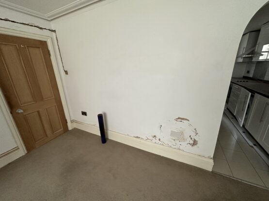 Problems with Rising Damp?