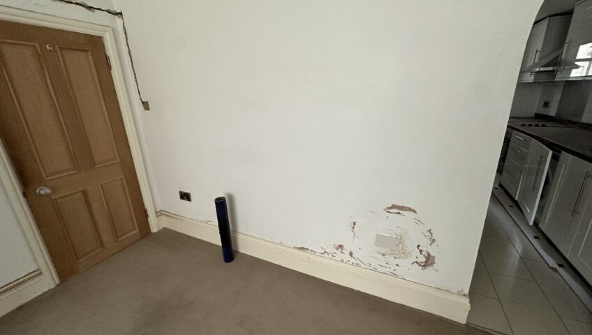 Problems with Rising Damp?